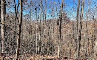 49J Mountain Harbour Dr, Hayesville, NC 28904