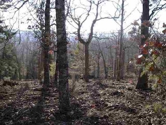 Lots 14,15,16 Mc 8071, Bull Shoals, AR 72619