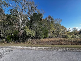 165 N Pine Harbour Dr, Coldspring, TX 77331