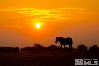 TBD Sunrise Pass Rd, Gardnerville, NV 89410