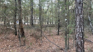 0 Stagecoach Cir Unit 53896454, Huntsville, TX 77340