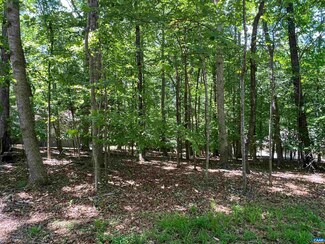 6 Condor Rd, Palmyra, VA 22963