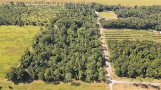 0 Amberlea Rd, Dade City, FL 33523
