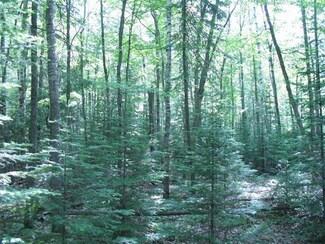 Lot 2 Hwy 155, Saint Germain, WI 54558