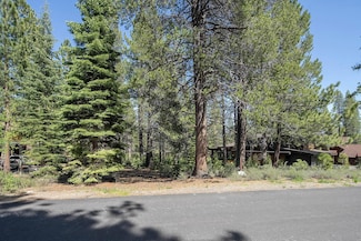 11841 Bottcher Loop, Truckee, CA 96161