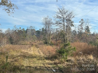 14 Ac Quail Hollow Cir, Chester, SC 29706