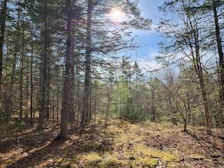 151 Church Ln, Au Sable Forks, NY 12912