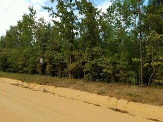 785 Windsor Rd N, Williston, SC 29853