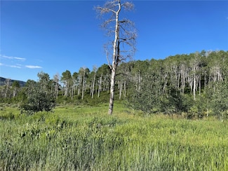 27200 Frisco Place, Clark, CO 80428