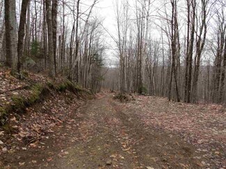 1039 Arcadia Ln, Westmore, VT 05860