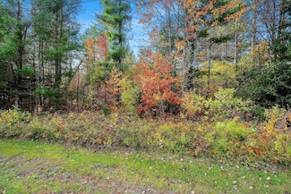 0 Willis Ave Unit 50316986, Pembine, WI 54156