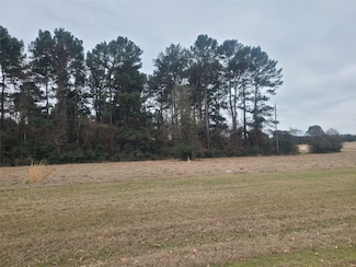 Lot 8 Jamestown Rd, Trinity, TX 75862
