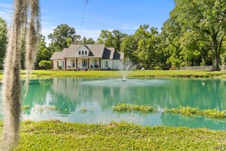 11389 Guitreau Rd, Gonzales, LA 70737