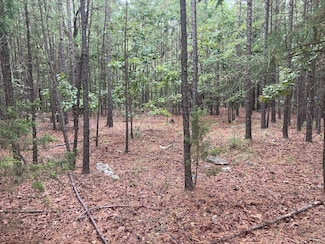 TBD Carpenter Ln, Wister, OK 74966