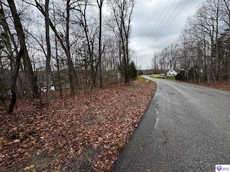 874 Wildflower Ridge Rd, Doe Valley, KY 40108