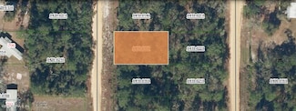 000 Norman Ave, Interlachen, FL 32148