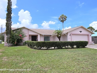 9056 Horizon Dr, Spring Hill, FL 34608