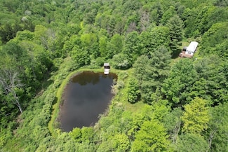 0 Gay Hollow Rd Unit LotWP001 20485155, Spencer, NY 14883