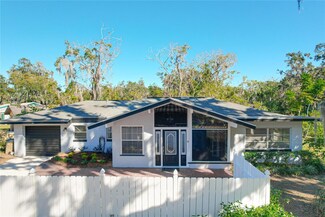 407 Park Ln, Eustis, FL 32726