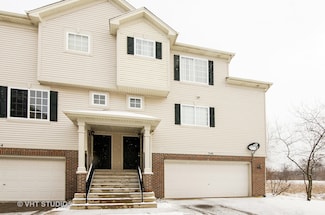 346 Evergreen Cir Unit 346, Gilberts, IL 60136