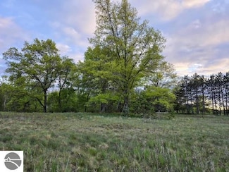 V/L cedar and W 12th St, Evart, MI 49631