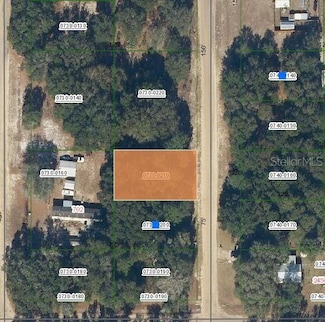 0 Lenore Ave Unit MFROM696907, Interlachen, FL 32148