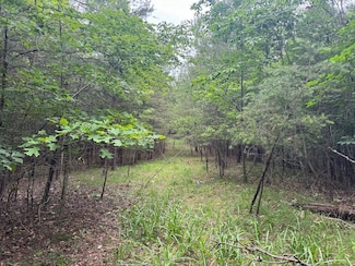6140 Grant Ford Dr, Gainesville, GA 30506