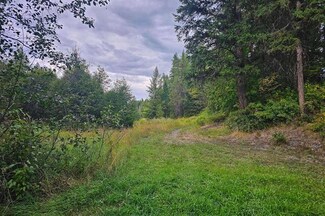19XX Clugston Onion Creek Rd, Colville, WA 99114