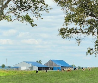 366 Poplar Plains Rd, Flemingsburg, KY 41041