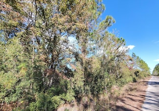 0 SW Brown Rd, Lee, FL 32059