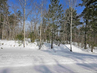 tbd 80 Acres Off Co Rd Cf Rd, Ishpeming, MI 49849