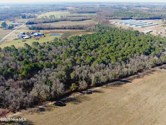 00 N Carolina 903, Albertson, NC 28508
