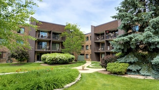 522 E Algonquin Rd Unit 302, Schaumburg, IL 60173
