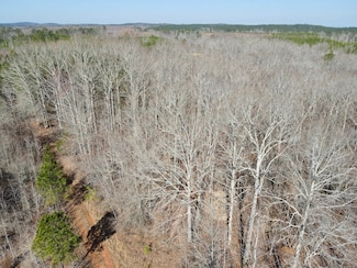 0 County Road 847, Wadley, AL 36276