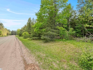 Sleepy Hollow Honor Hwy, Interlochen, MI 49643