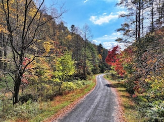 366 Renfro Rd, Green Mountain, NC 28740