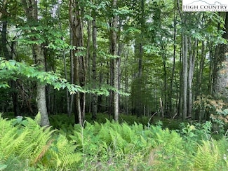 TBD Marshall Way, Jefferson, NC 28640