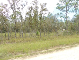690 NE 135th Ct, Williston Highlands, FL 32696