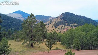 726 Copper Mountain Dr, Cripple Creek, CO 80813