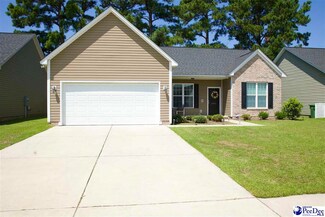 3005 Red Berry Cir, Effingham, SC 29541