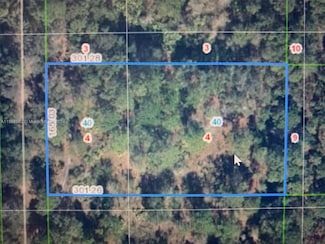 1939 S Griese Rd, Avon Park, FL 33825