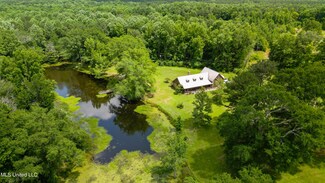 230 County Road 13, Louin, MS 39338