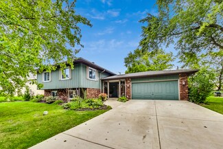 6616 Osceola Trail, Indian Head Park, IL 60525