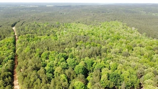 County Road 369, Burnsville, MS 38833