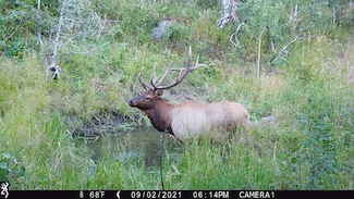 0 Tbd Old Flowers Rd, Bellvue, CO 80512