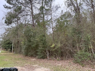 97157 Kapalama Dr, Bay St. Louis, MS 39525