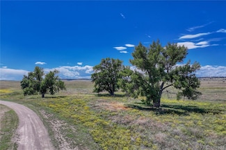 0 Fiddleback Ranch Rd Unit REC5735763, Kiowa, CO 80117