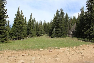 Group 14 Lamartine Rd Unit 15890, 14944, Idaho Springs, CO 80452