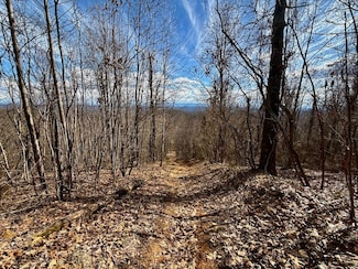 0 Tbd Caney Creek Ln Unit LotWP001, Greeneville, TN 37745