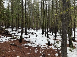 Lot 54 Porpoise Ln, Bonanza, OR 97623